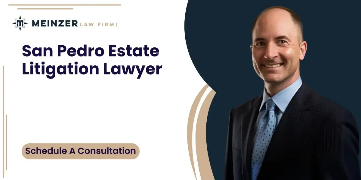 best san pedro estate litigation lawyer